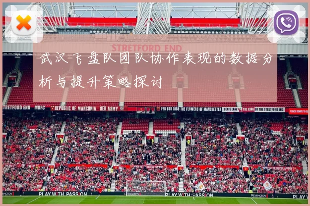 武汉飞盘队团队协作表现的数据分析与提升策略探讨